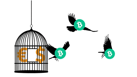 BCH birds rectangular COMPRESSEd